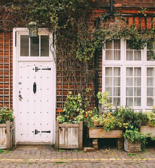 house, home, door, nature, sidewalk, cobblestone, bricks, vines, plants, brown home, brown house, brown plant, brown door, brown plants